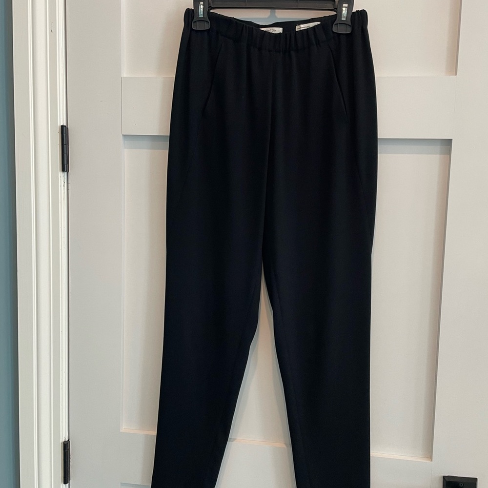 Babaton Aritzia Black Pleated Pants